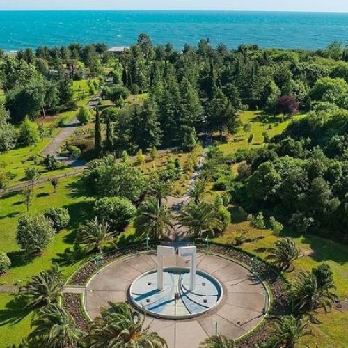 *Санаторий "Самшитовая роща" Абхазия